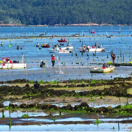 Bruma Vilagarcia de Arousa