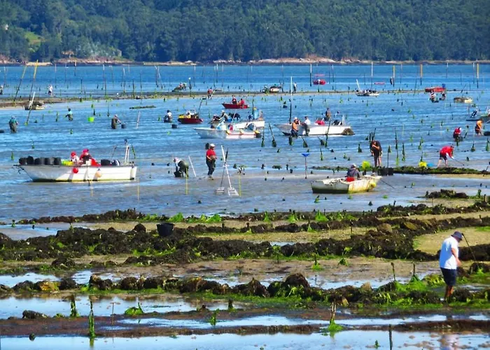 Bruma Vilagarcia de Arousa